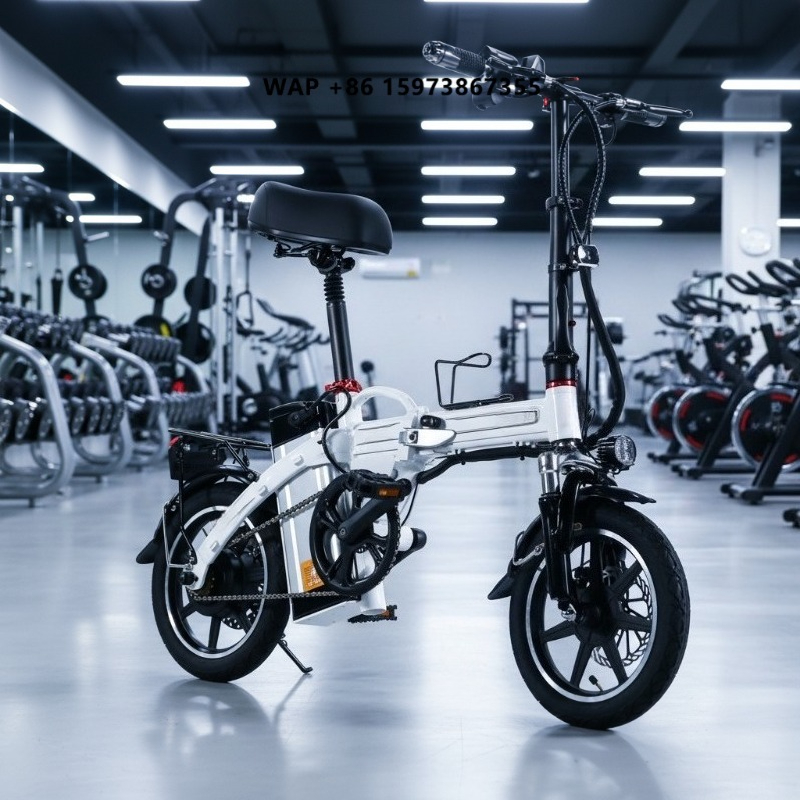 ミニ折りたたみ電動自転車工場供給 大人用通勤電動自転車 軽量 - Commuting With Bike のレビューと価格