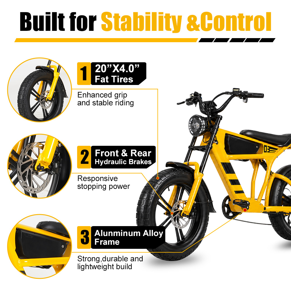 48V 18.2Ah 1000W ファットタイヤ電動自転車  - Cycling Commute Speed のレビューと価格