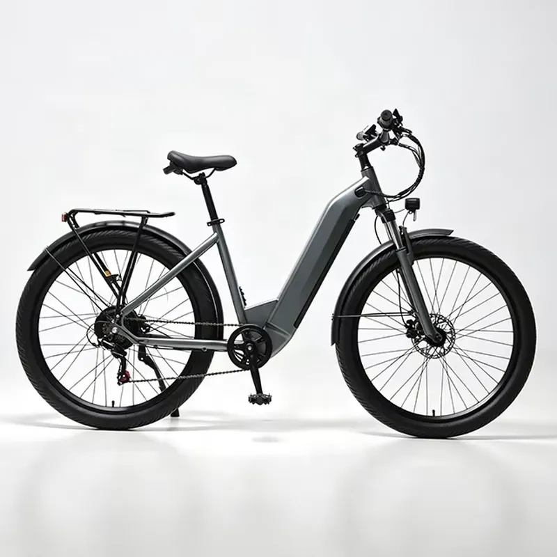 7速36V 250W電動自転車、都市通勤用Eバイク、シティサ - Cycling Commute Speed のレビューと価格